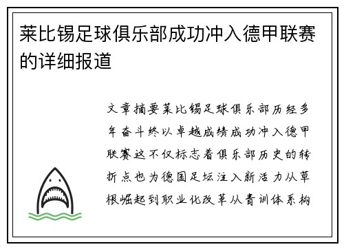 莱比锡足球俱乐部成功冲入德甲联赛的详细报道